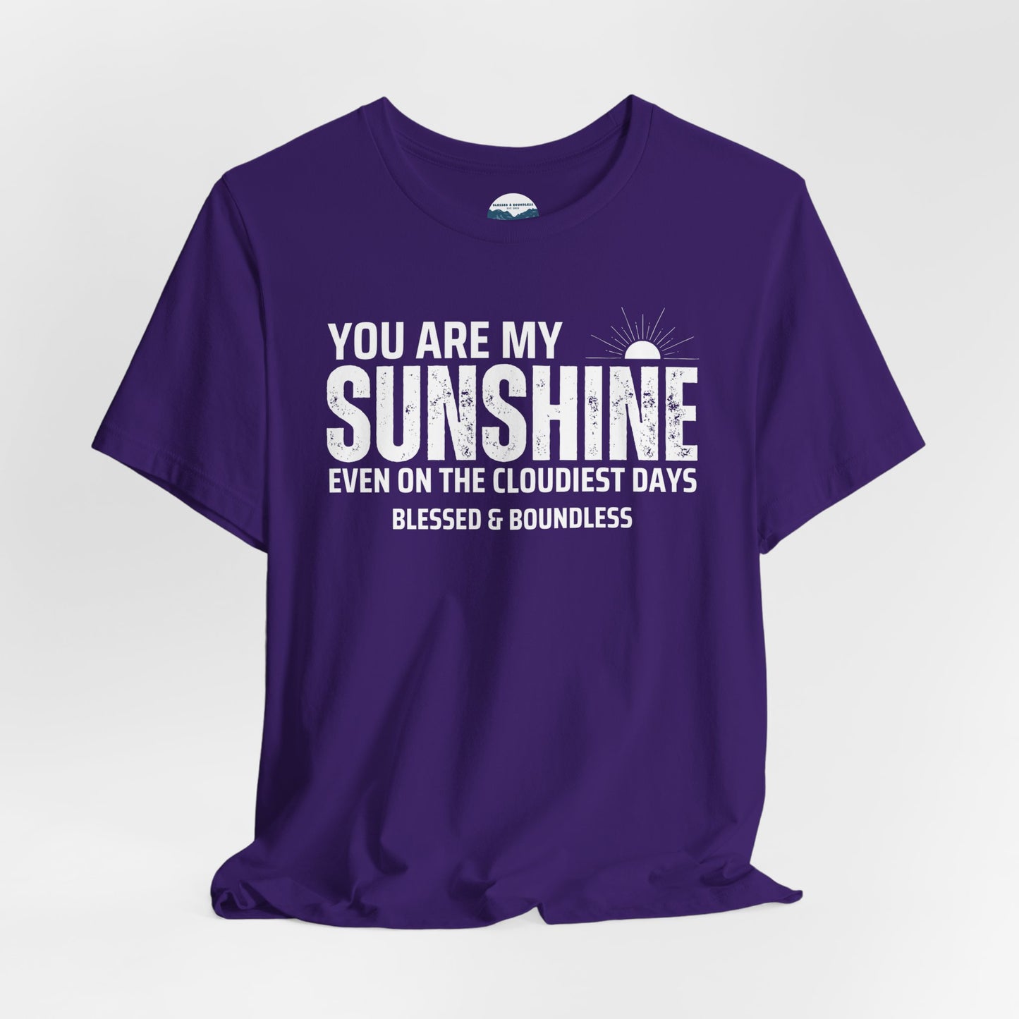 Sunshine on the Cloudiest Days