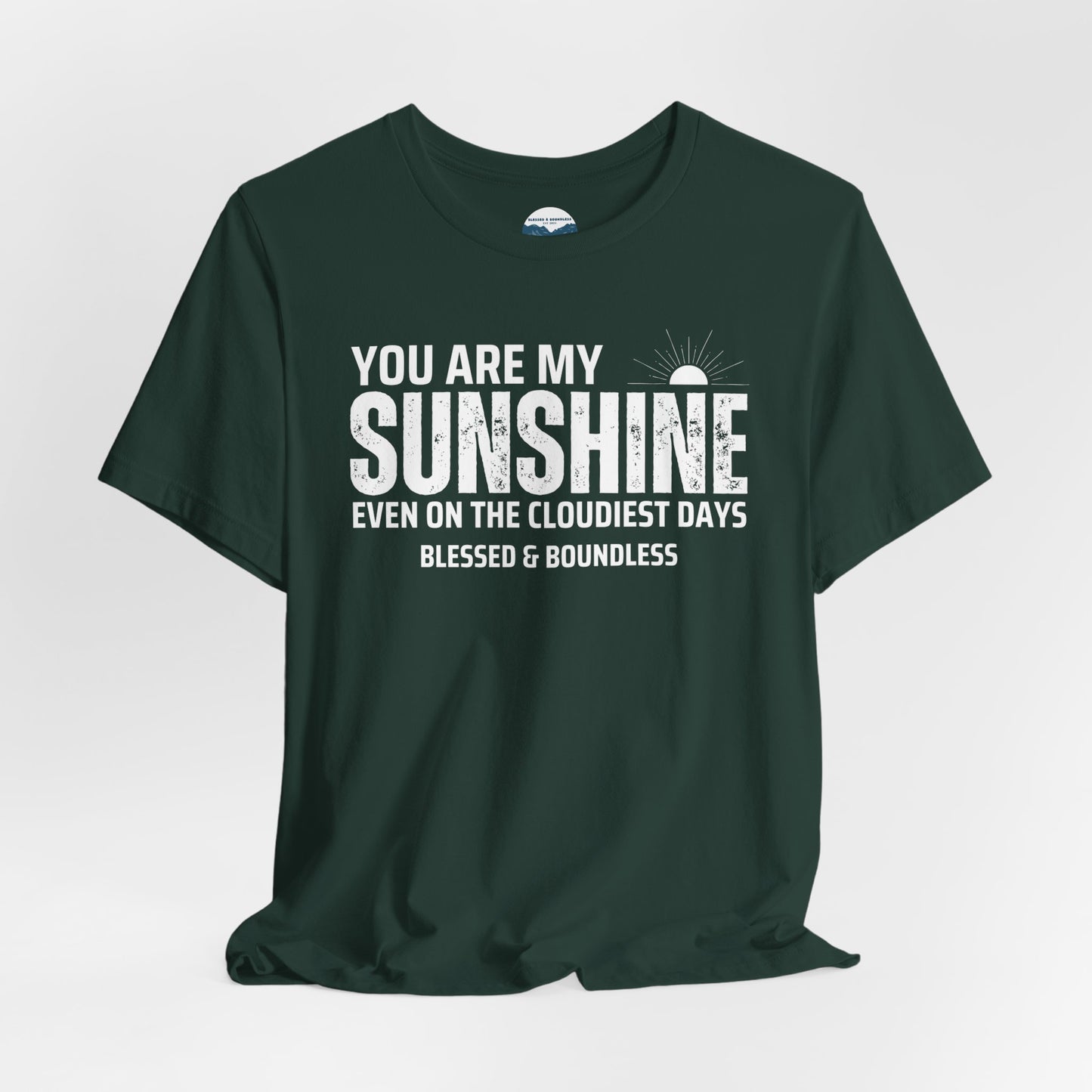 Sunshine on the Cloudiest Days