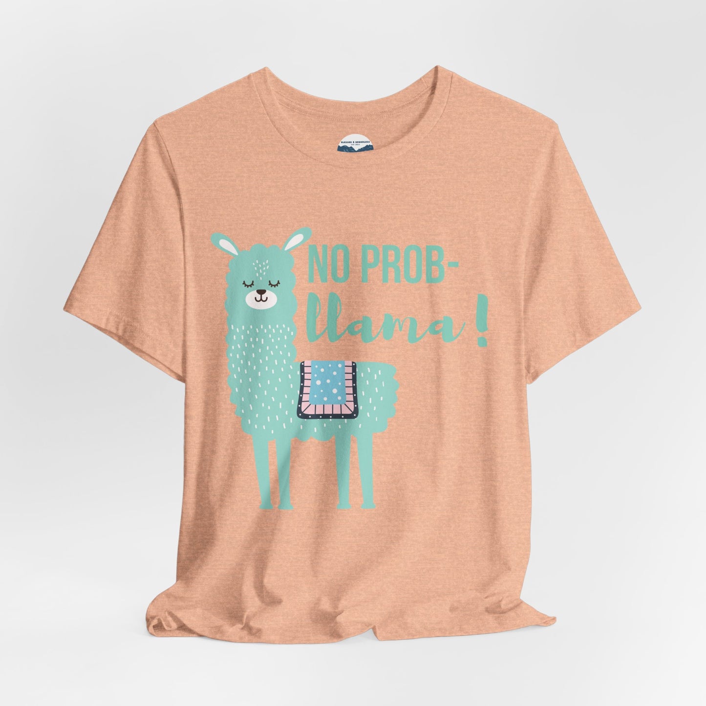 No Prob-Llama