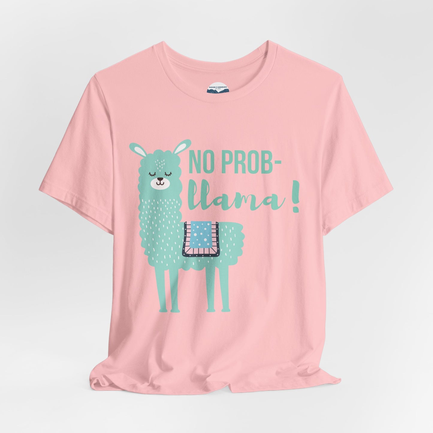 No Prob-Llama