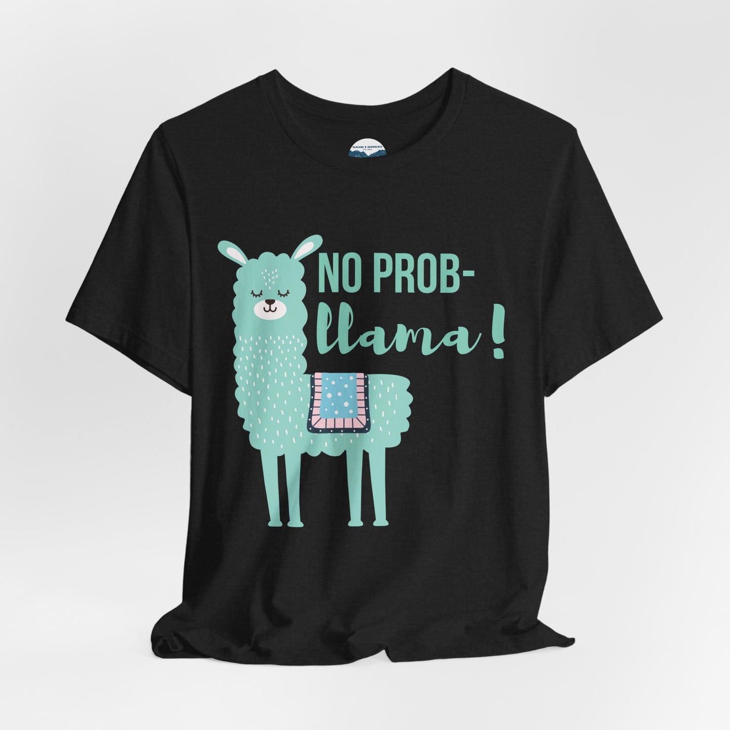 No Prob-Llama